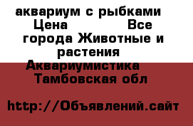 аквариум с рыбками › Цена ­ 15 000 - Все города Животные и растения » Аквариумистика   . Тамбовская обл.